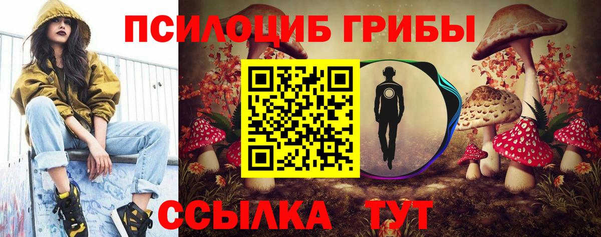 Галлюциногенные грибы Psilocybine cubensis  Вход с VPN  Каменск-Шахтинский 